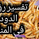 تفسير حلم خروج الدود من الجسم أو الدبر أو الفرج في المنام للعزباء 