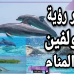 تفسير حلم الدولفين في المنام عند ابن سيرين للمتزوجة والمطلقة