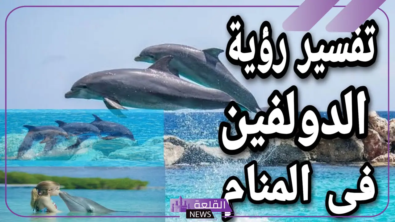 تفسير حلم الدولفين في المنام عند ابن سيرين للمتزوجة والمطلقة