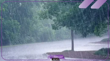 الرعد والبرق في المنام