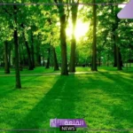 تفسير حلم الزراعة في المنام والأرض الخضراء للمتزوجة والعزباء