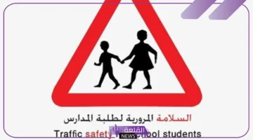 السلامة المرورية