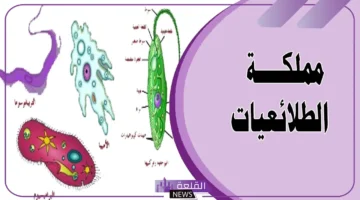 الطلائعيات