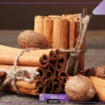 ما هو الفرق بين القرفة والدارسين؟ فوائد الدارسين للرجل