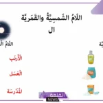 كلمات الحروف الشمسية والقمرية.. الفرق بين اللام القمرية والشمسية