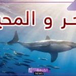 الفرق بين المحيط والبحر بالتفاصيل.. تعريف البحر والمحيط