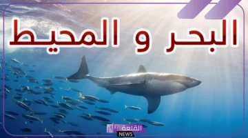المحيط والبحر