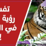 تفسير حلم النمر للمتزوجه وملاحقته في المنام لابن سيرين