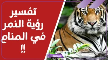 النمر