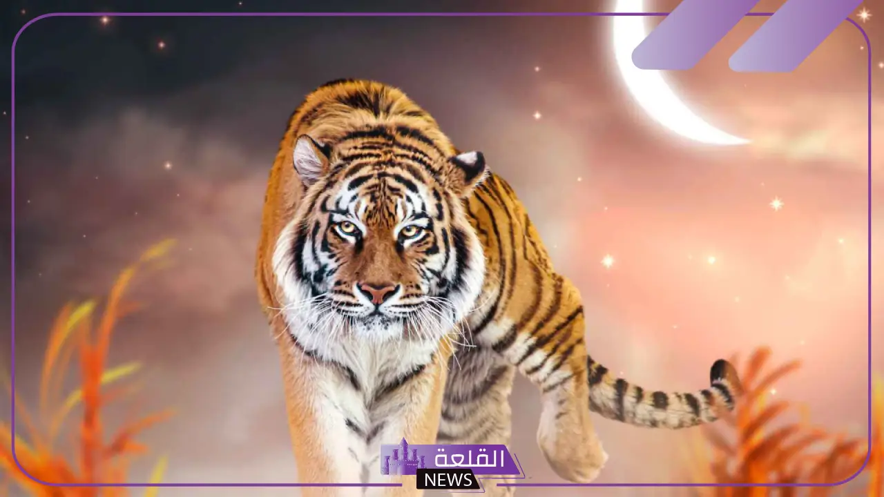 تفسير حلم النمر للمتزوجه وملاحقته في المنام لابن سيرين 5 رؤية النمر في المنام لابن سيرين