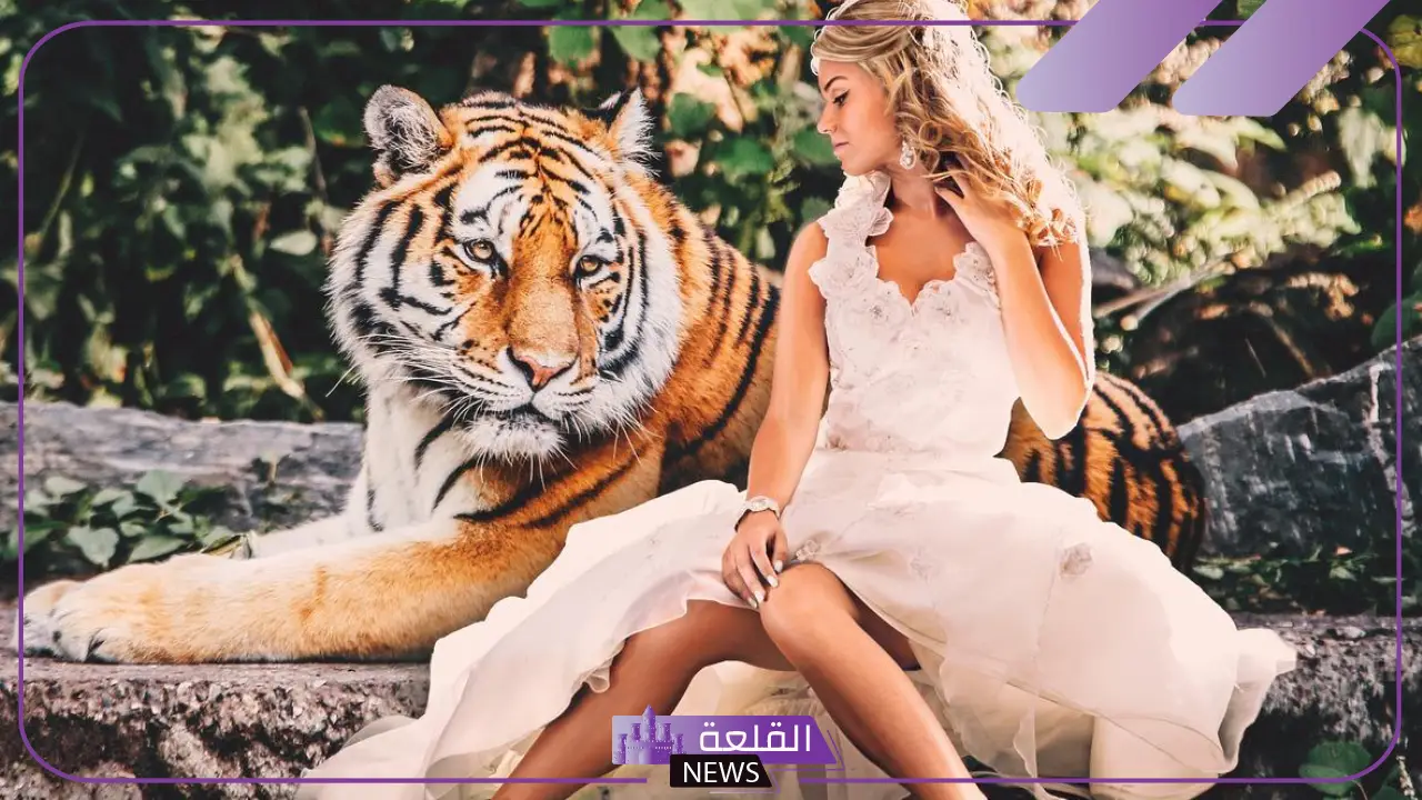 تفسير حلم النمر للمتزوجه وملاحقته في المنام لابن سيرين 6 الخوف من النمر في المنام