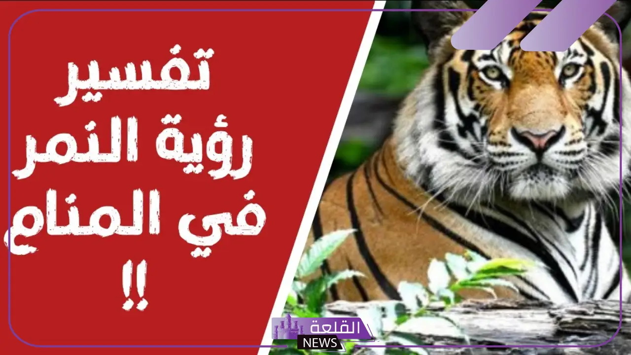تفسير حلم النمر للمتزوجه وملاحقته في المنام لابن سيرين