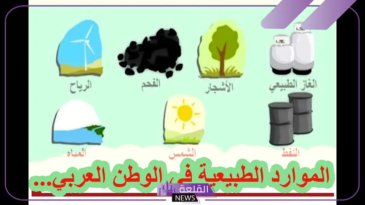 من انواع الموارد هي: الموارد البيئية وأنواعها