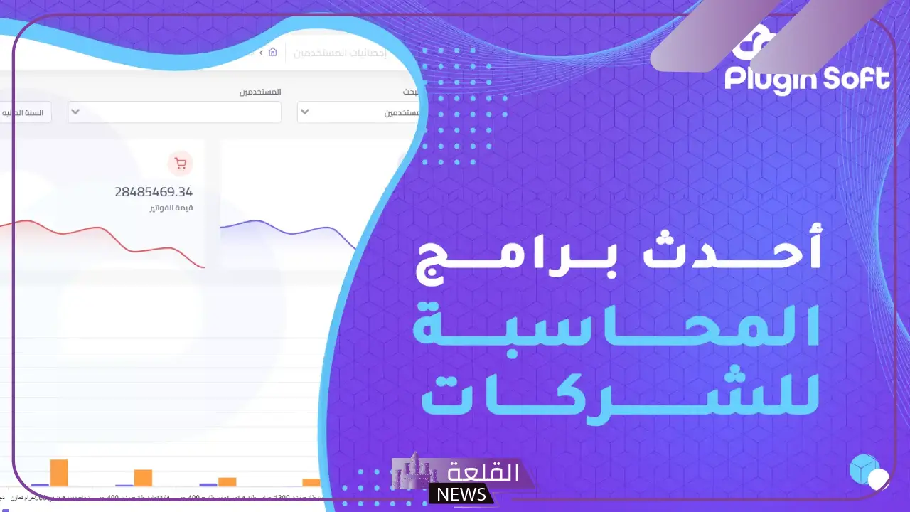 دور برنامج المحاسبة في إعداد القوائم المالية السنوية ومراجعتها 5 بلاجن سوفت