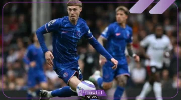 تشيلسي في مواجهة