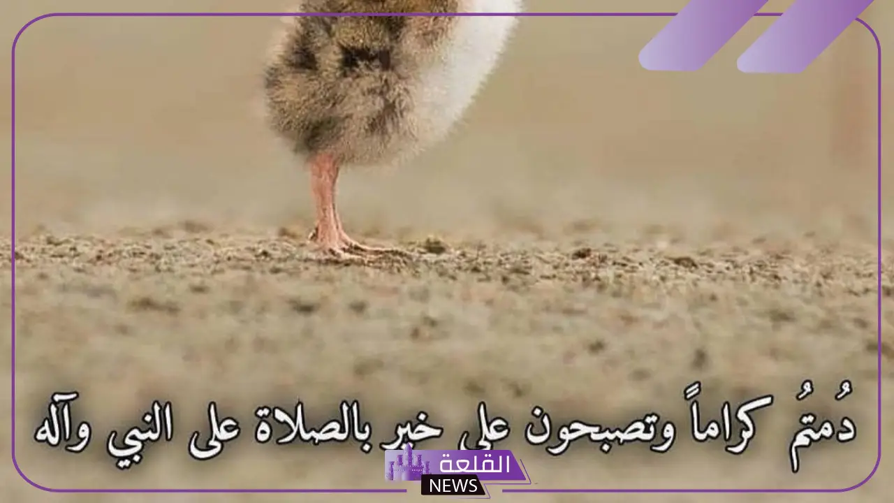 كلام عن الكرم والجود وحسن الضيافة مميز تويتر وفيس بوك 6 حكمة عن الكرم