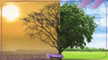 تفاصيل عن خط الاستواء