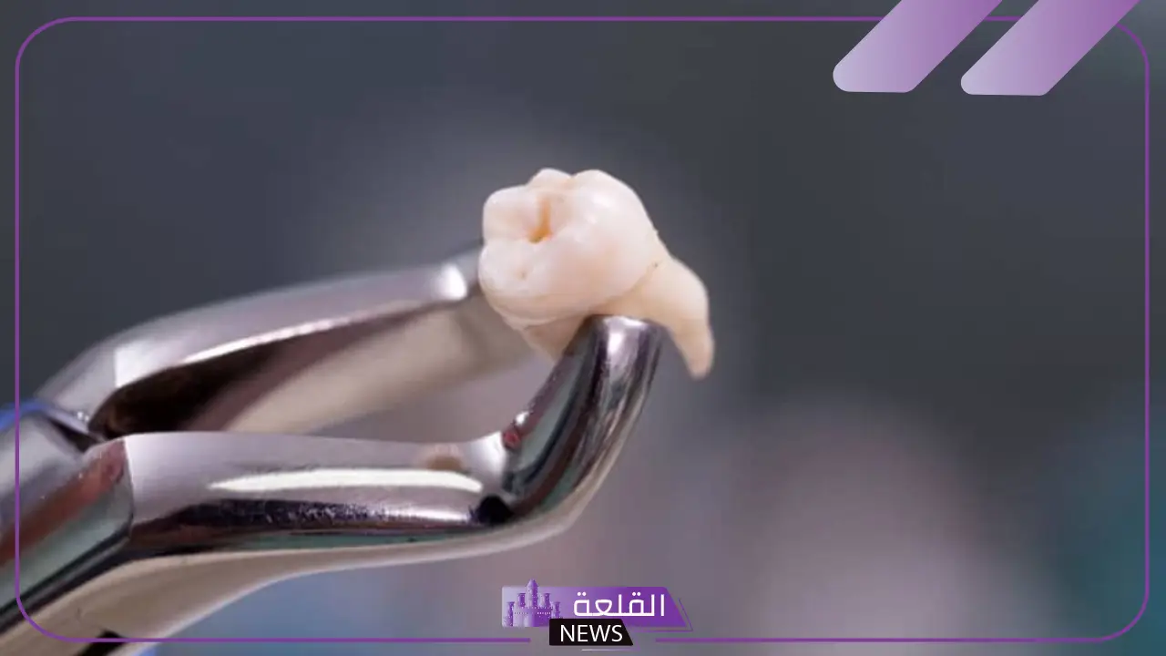 تفسير حلم سقوط الضرس العلوي في المنام للمرأة دون ألم في اليد 5 دلالة رؤية الضرس