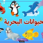 اسماء الحيوانات البحرية والبرمائية وأنواعها