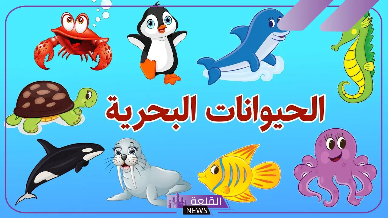 اسماء الحيوانات البحرية والبرمائية وأنواعها