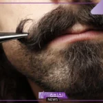 تفسير حلم ظهور الشنب في المنام للمطلقة والعزباء والرجل لابن سيرين