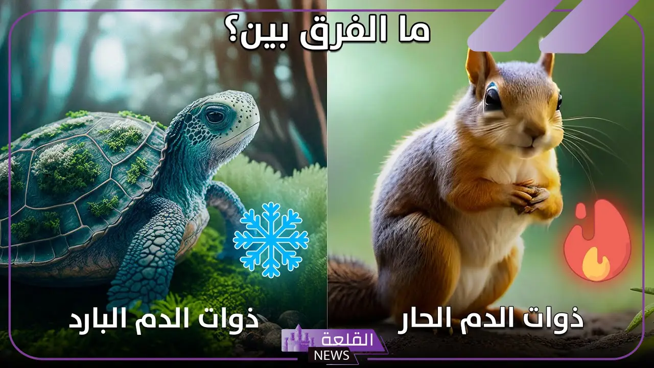 أسماء الحيوانات ذوات الدم الحار والدم البارد أسماء الحيوانات ذوات الدم الحار والدم البارد