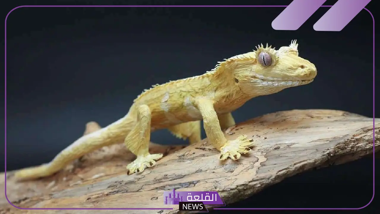 تفسير حلم رؤية الوزغ في المنام لابن سيرين وابن شاهين