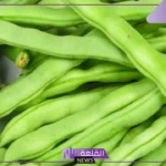 تفسير حلم الفول في المنام وأكله لكبار المفسرين للرجل والمرأة