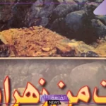 نسب زهران وش يرجع؟ تاريخ زهران وعدد القبائل