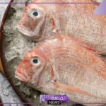كل ما تحتاج لمعرفته عن سمك عريضي.. القيمة الغذائية للسمك العريضي