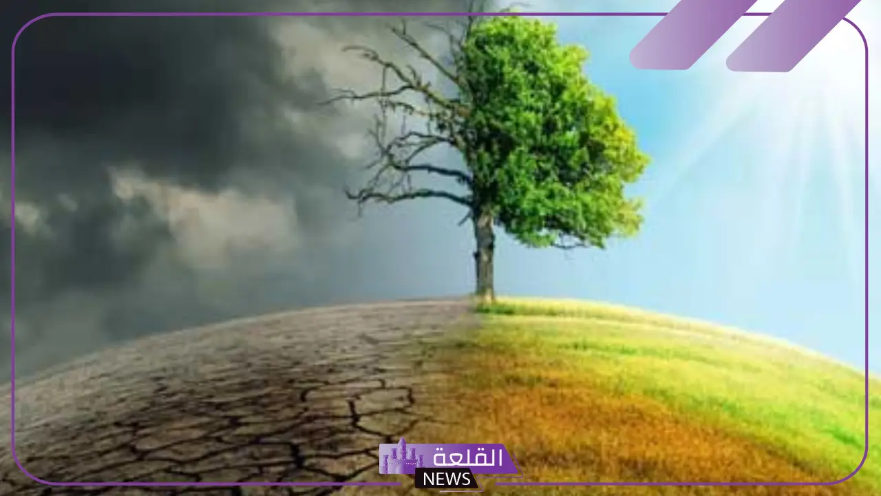 ما هي مشكلات البيئة التي تعاني منها بعض المدن؟ أنواع المشكلات البيئية وحلولها 6 أسباب تفاقم المشكلات البيئية في المدن الحديثة