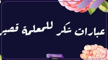 عبارات للمعلم