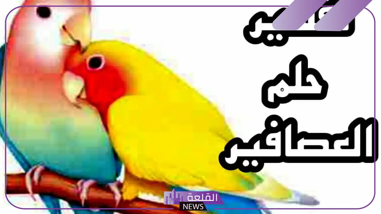 تفسير رؤية حلم العصافير في المنام للعزباء والمتزوجة في القفص 4 تفسير رؤية حلم العصافير في المنام للعزباء والمتزوجة في القفص