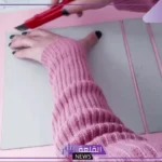 محتويات ملف الانجاز ومكوناته وخصائصه.. انواع ملف الإنجاز