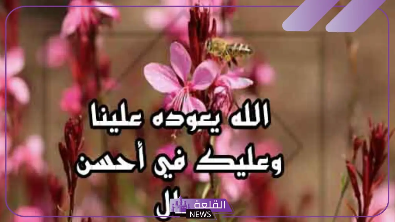 وش الرد على عيد اضحى مبارك؟ رسائل تهنئة عيد الأضحى رسمية 5 الرد على عيدكم مبارك