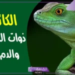 أسماء الحيوانات ذوات الدم الحار والدم البارد