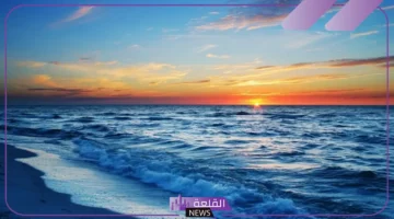 كلمات عن البحر