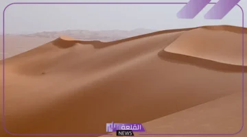 كلمة قاحلة