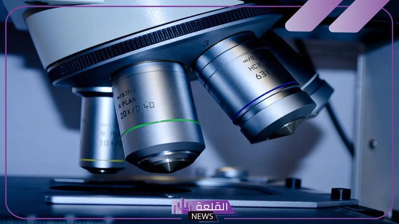 من مهارات العلمية هي: ما هي مهارات التفكير العلمي؟ 5 المهارات العلمية في السيرة الذاتية