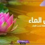 وصف وخصائص زنبق الماء وأهميته في النظام البيئي