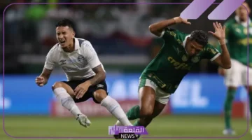 مباراة بالميراس القادمة