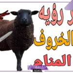 تفسير حلم ذبح الخروف في المنام للرجل والحامل والمتزوجة