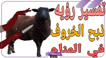 معنى ذبح الخروف
