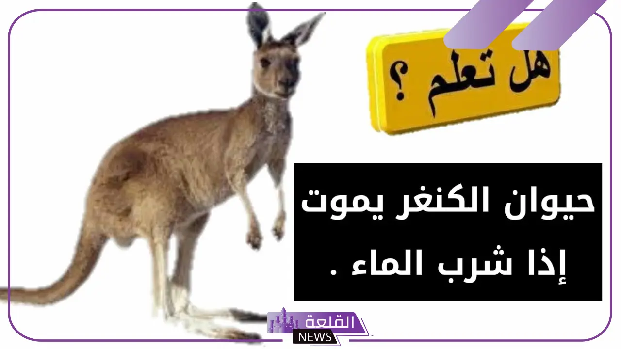 هل تعلم اطفال معلومات عامة ودينية للإذاعة المدرسية 5 هل تعلم معلومات دينية قصيرة