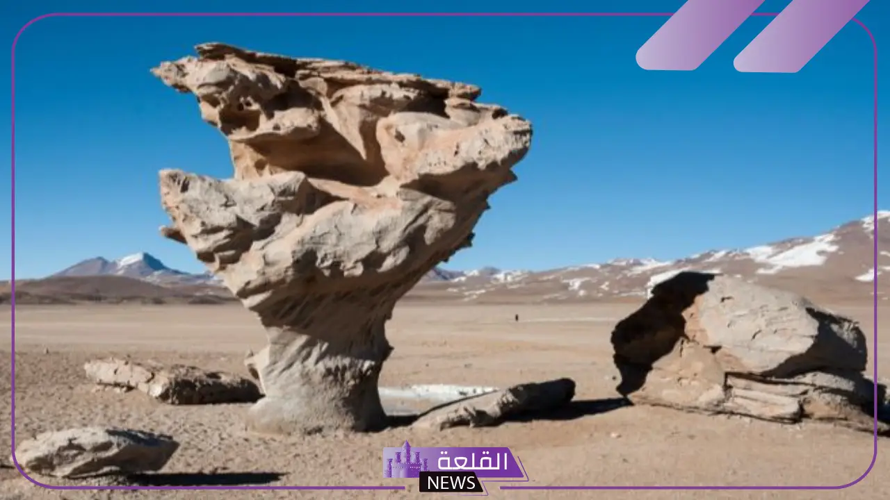7 من عوامل التعرية.. تعريف التعرية ومراحلها 5 مراحل التعرية