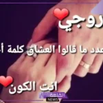 قصائد شعر للزوج الحنون رومانسي.. أجمل ابيات شعر حب للزوج تويتر