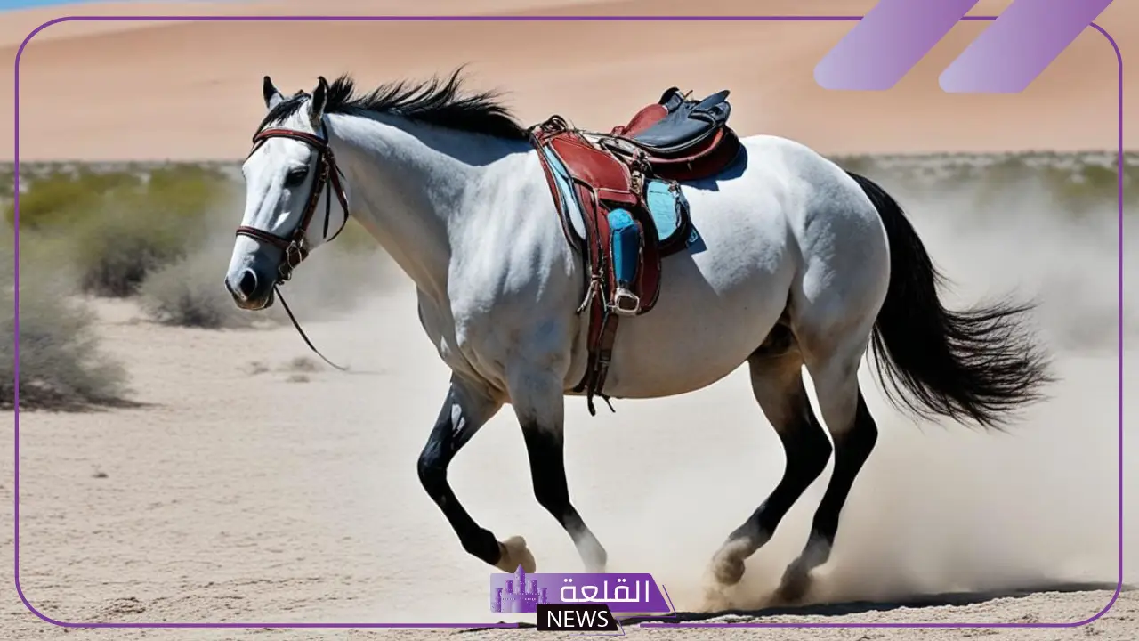 كم مدة حمل الخيل؟ العوامل التي تؤثر على مدة حمل الحصان كم مدة حمل الخيل؟ العوامل التي تؤثر على مدة حمل الحصان