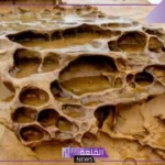 من العوامل التي تسبب التجوية الفيزيائيه والكيميائية والميكانيكية