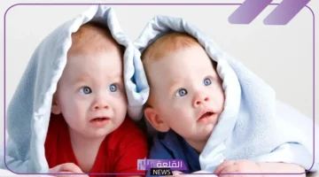 التوأم في المنام