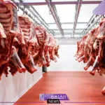 تفسير رؤية الذبيحة في المنام للرجل والمرأة المتزوجة والعزباء